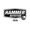 hammer-logo-2